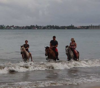 Bocas del Toro Horseback Riding