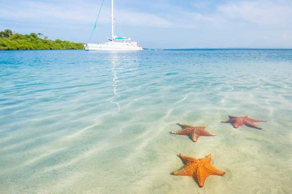 bocas-del-toro-starfish-beach